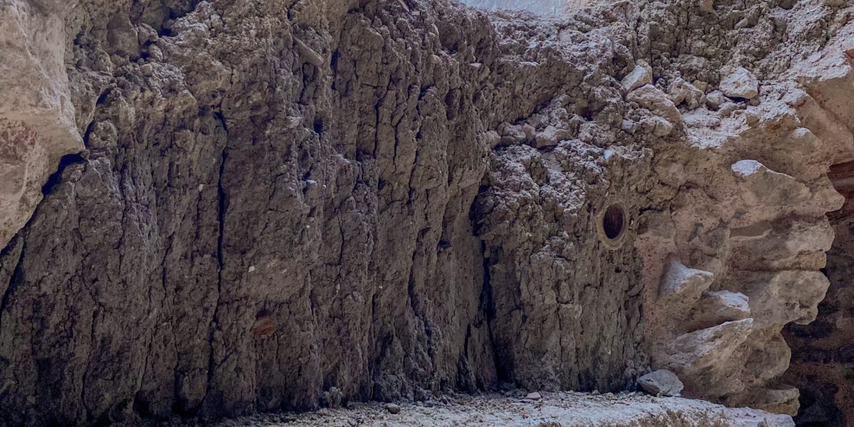 Photo by Ceyda on Unsplash